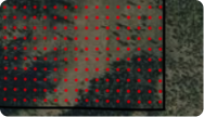 Walk-in.png