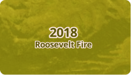 Historic Wildfire 4-7 Years.png