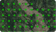 Timber Co.png