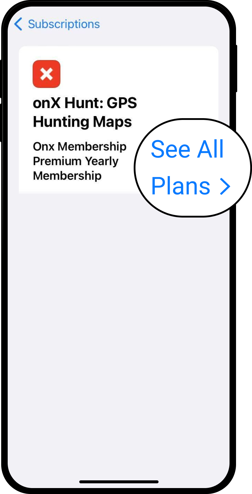iOS Subscriptions Hunt See all Plans.png