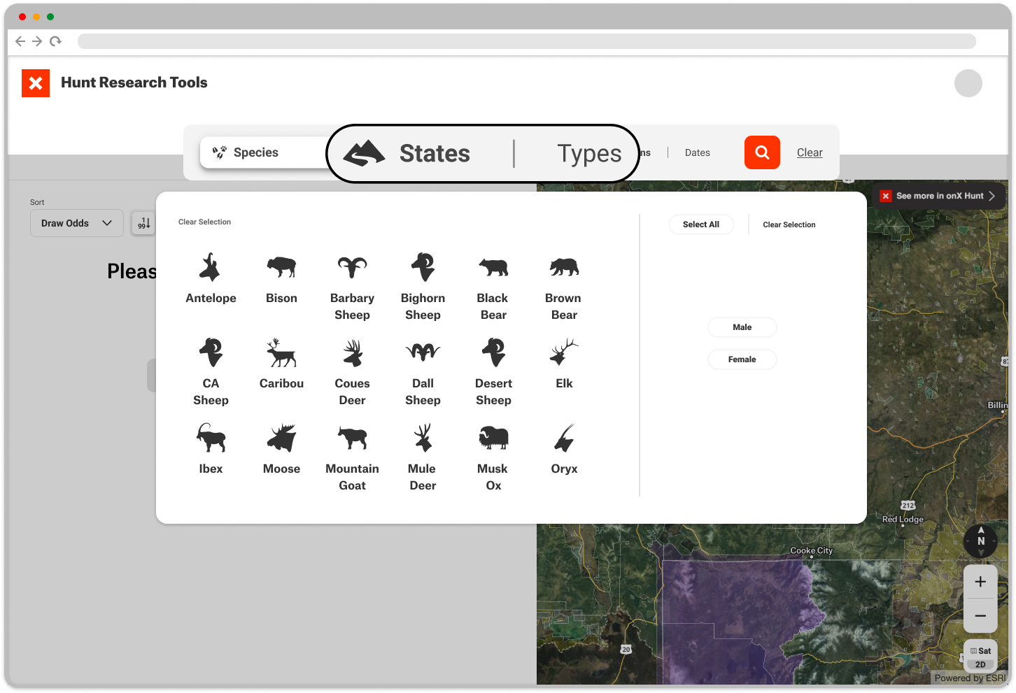 States Types Button Species Sexes Hunt Research Tools.png